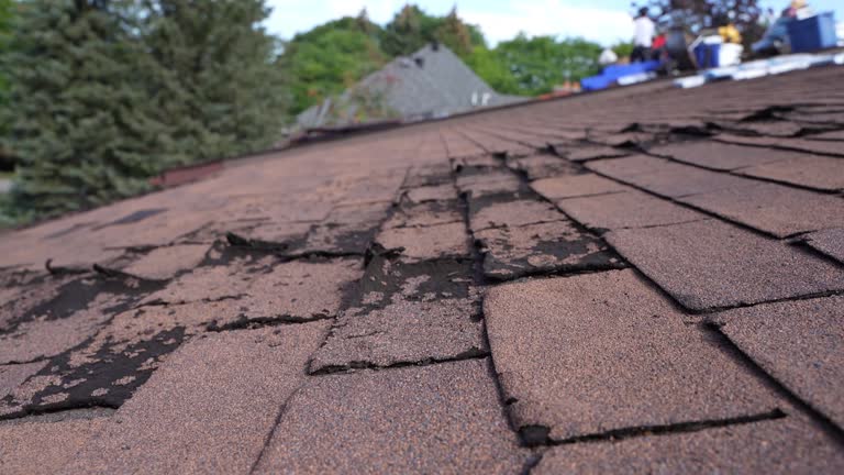  Lake City, MN Roofing Service Pros
