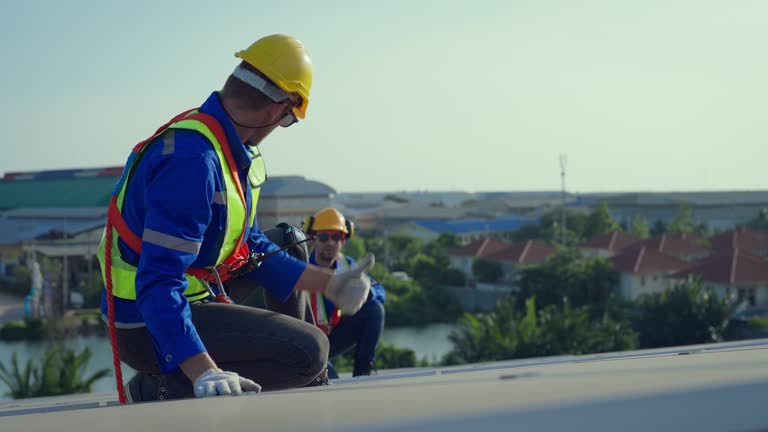 Best Roof Insulation Installation  in Lake City, MN