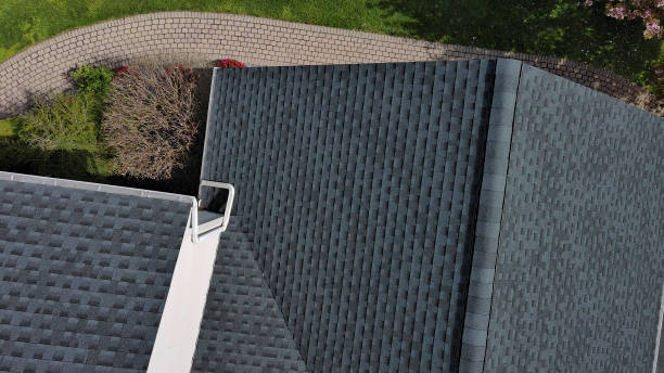 Best Solar Panel Roofing Installation  in Lake City, MN