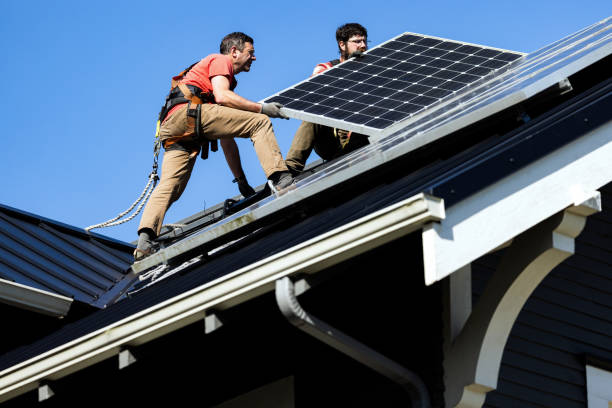 Best Chimney Flashing Repair  in Lake City, MN