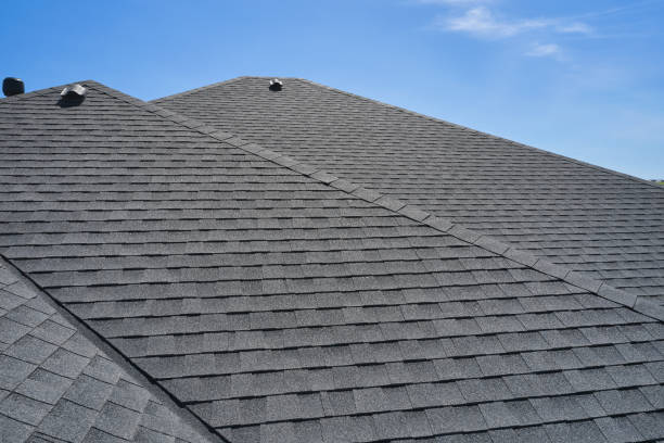 Best Roof Ventilation Installation  in Lake City, MN